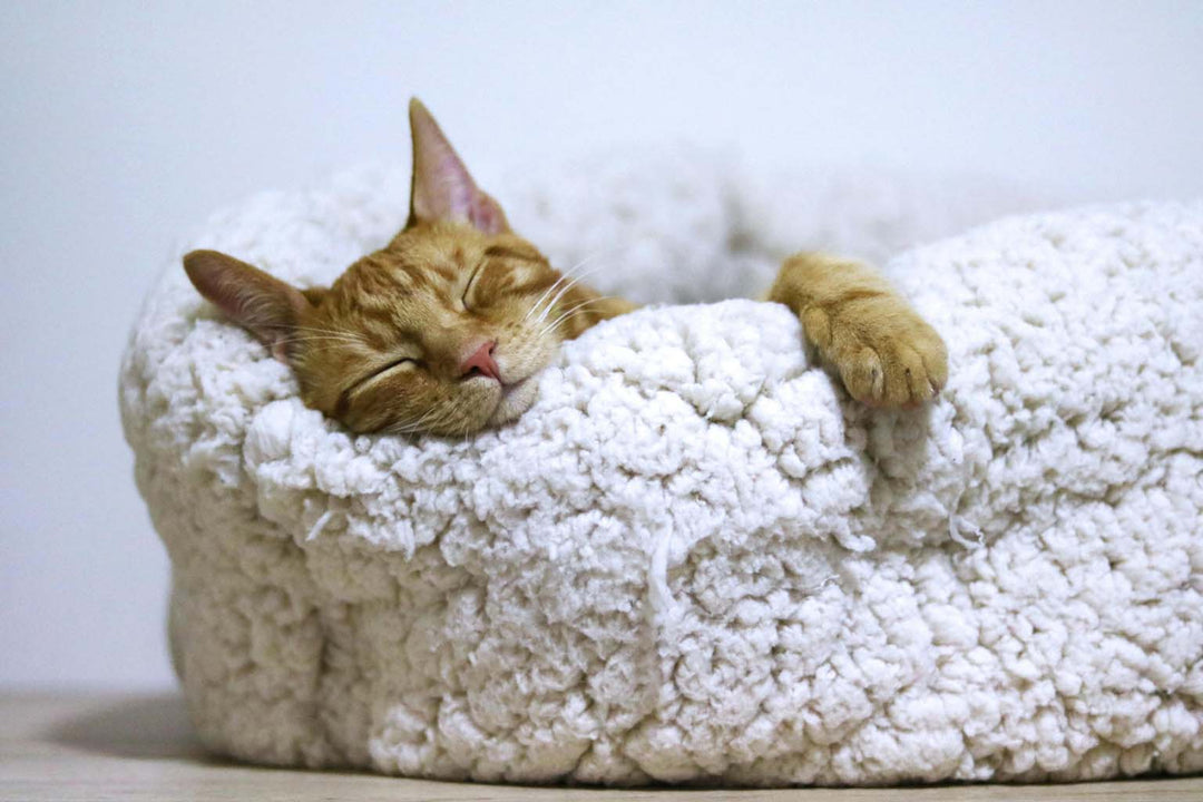 How Long Does Melatonin Last in Your System