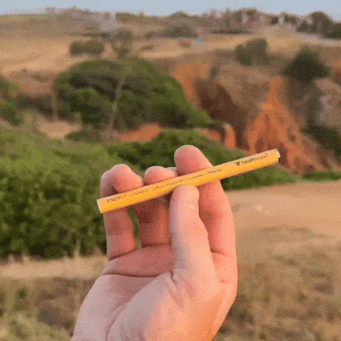 Hand holding a HealthVape ENERGY Citrus disposable inhaler outdoors against a natural landscape.