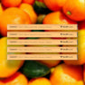 5 Pack [BEST SELLER - SAVE 15%]