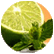 Minty Lime img