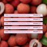 5 Pack [BEST SELLER - SAVE 15%]