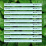 10 Pack [BEST VALUE - SAVE 20%]