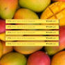5 Pack [BEST SELLER - SAVE 15%]