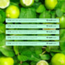 5 Pack [BEST SELLER - SAVE 15%]